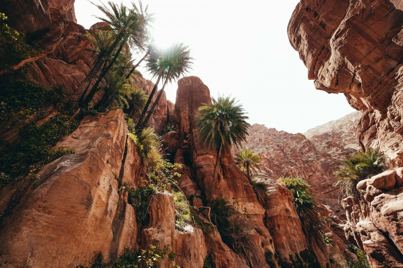 Sentier et excursion du Wadi Al Ghwair (Ghuwair)